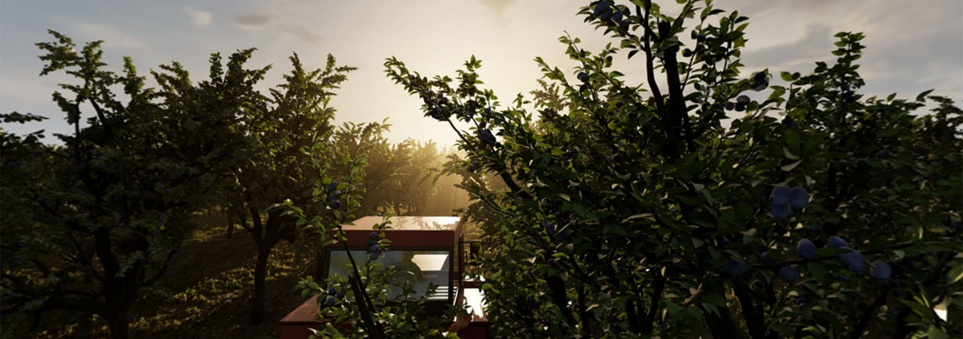 Plum Header