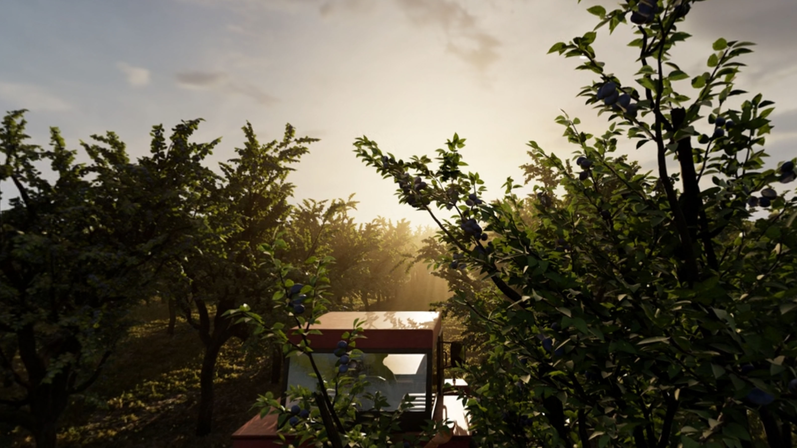 Orchard Scene - Final