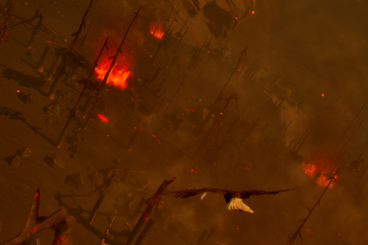 Burning land